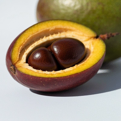 Close-up of African mango fruit and seeds