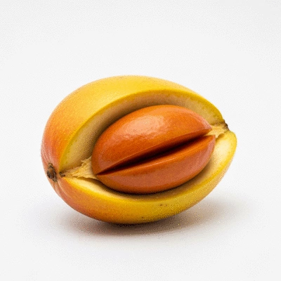 Close-up African Mango fruit and seeds, no text, no words, no typography, 8K