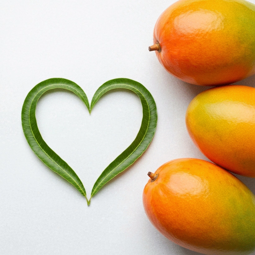 A Guide to Using African Mango for Improved Heart Health