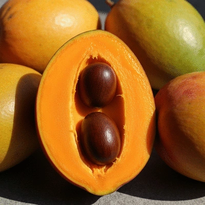 African mango fruit cut open, showing vibrant orange flesh and seeds, with whole fruits in the background