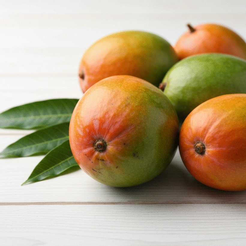 Antimicrobial Properties of African Mango: Traditional Uses and Modern Applications